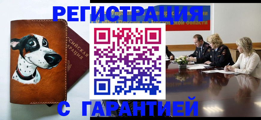 временная регистрация для всех в Краснодаре